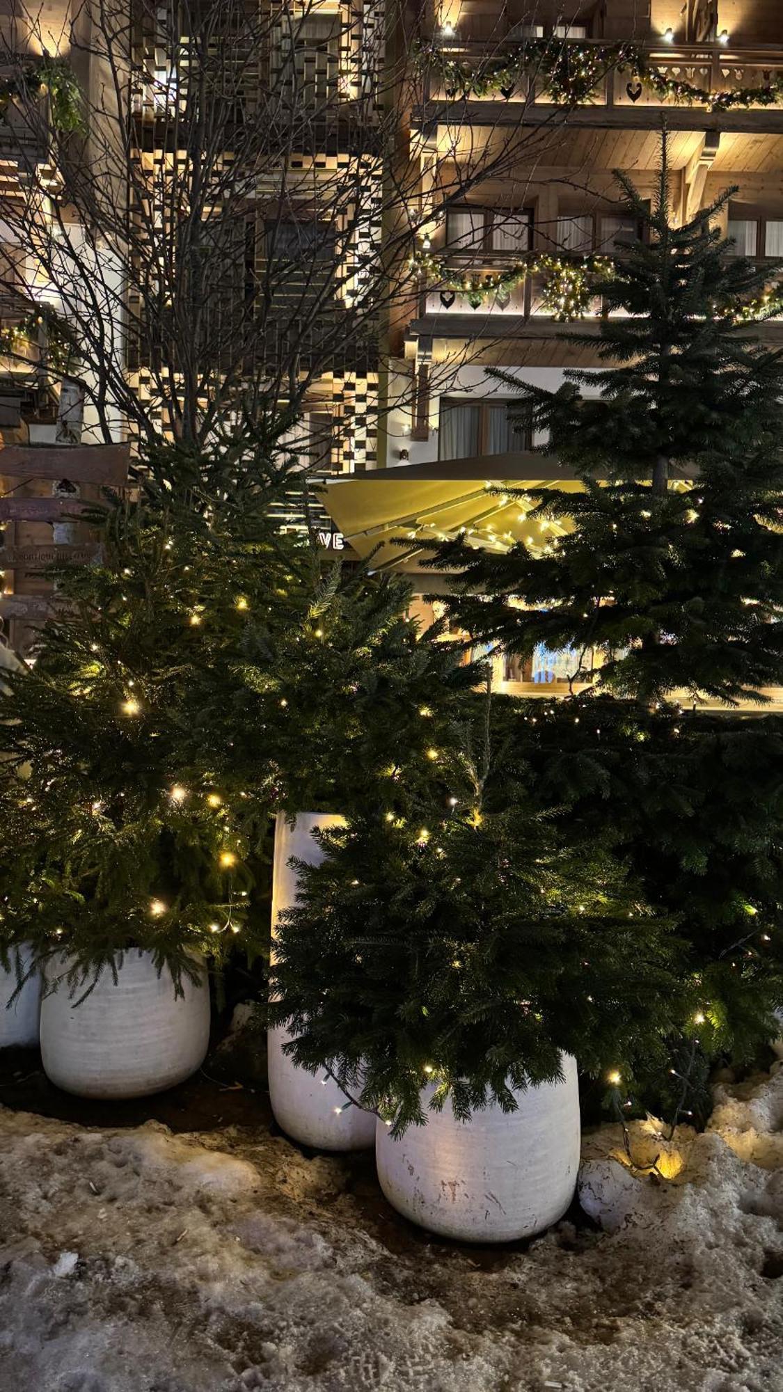 Apartment Piste Verte